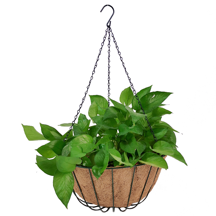 cestas florales colgantes